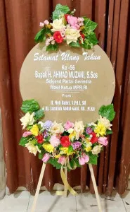 Ulang tahun Barito Selatan